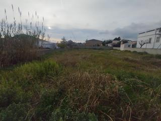 Residential Plot in Banyeres del Penedès. Parcela edificable en banyeres del penedès