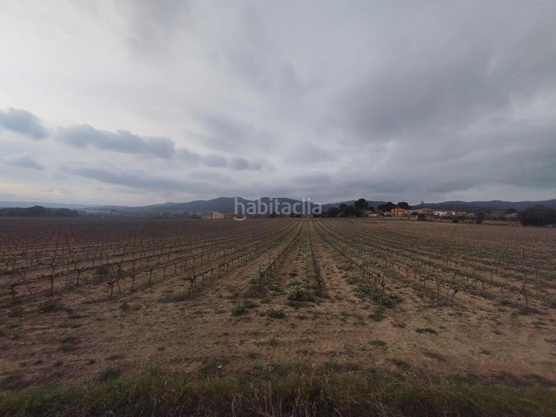 Foto 48b3fa13-8e39-4a0a-beaa-0c1cf79f9ef6. Wohngrundstück in Banyeres del Penedès