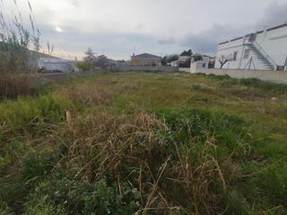 Terrain résidentiel à Banyeres del Penedès. Parcela edificable en banyeres del penedès