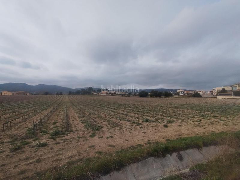 Foto edcee9a7-c8bc-4629-ac94-09b748ce5ec3. Wohngrundstück in Banyeres del Penedès