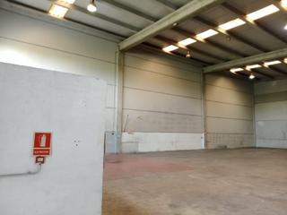 Rent Industrial building in Sant Jaume dels Domenys. Nave industrial en alquiler