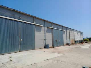 Miete Fabrikhalle in Alcover. Nave industrial en alquiler oportunidad única para tu negocio!