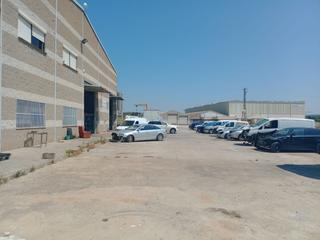 Rent Industrial building in Garidells (Els). Nave idustrial para alquilar en garidells