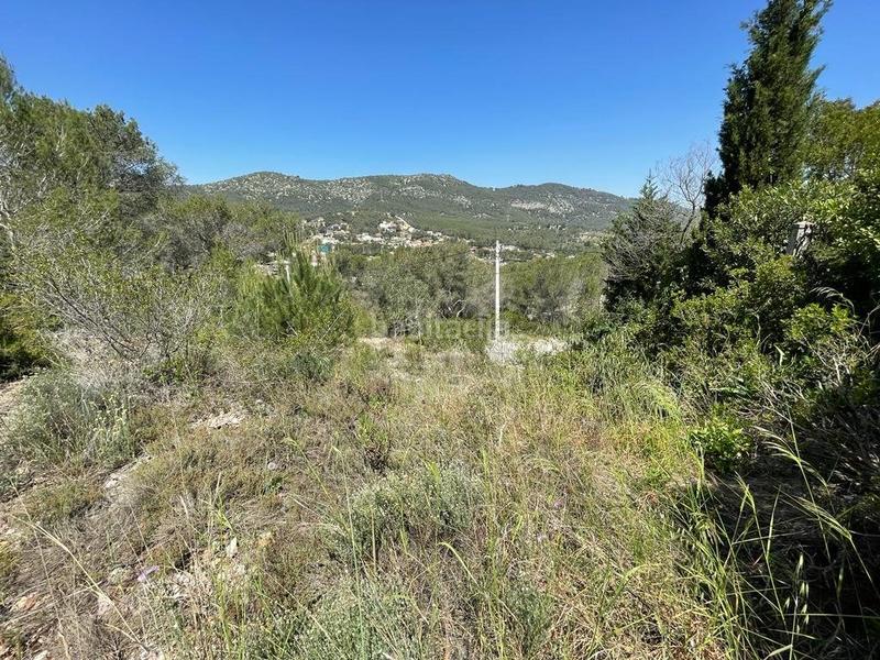 Foto 2030ccc3-09d5-4b89-ba93-64427624e0a9. Terreno residencial terreno urbanizable en Canyelles