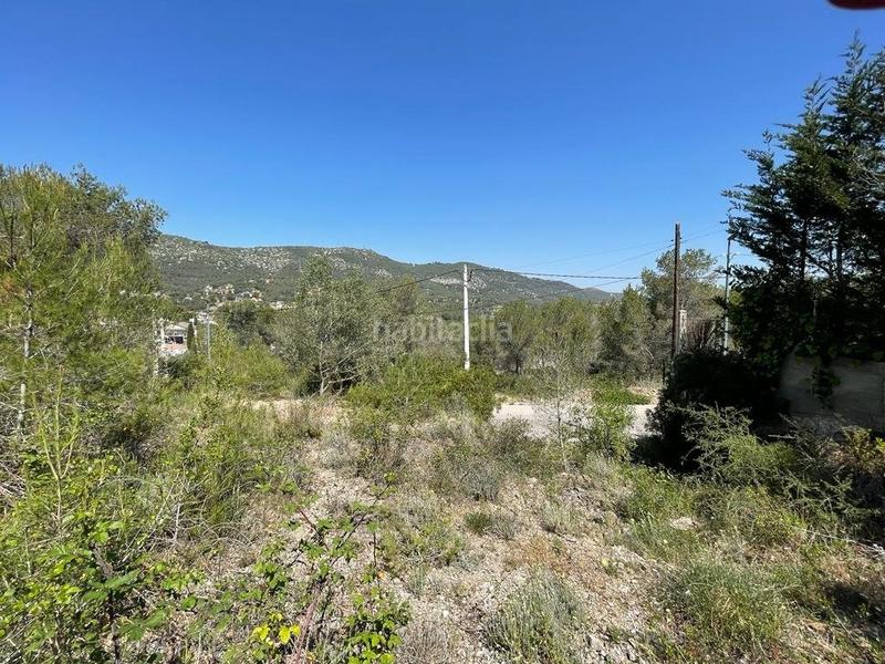Foto 393ba5c3-38a2-4320-8a8b-93eb8efe0a4e. Terreno residencial terreno urbanizable en Canyelles