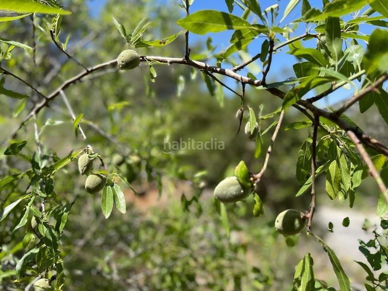 Foto 3cdff05f-bb15-4214-8e1a-7b75c58128f2. Terreno residencial terreno urbanizable en Canyelles