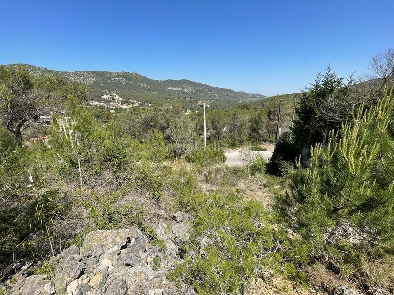 Foto 8e6a0cda-d5f0-44f4-90d6-64b4a3bca820. Terreno residencial terreno urbanizable en Canyelles