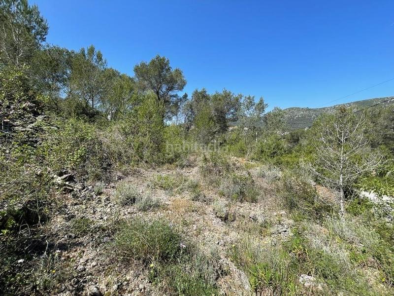 Foto 9058f45a-a05b-41ce-a24e-1dba16383aae. Terreno residencial terreno urbanizable en Canyelles