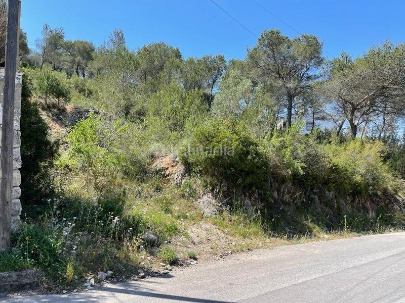 Foto 9e00f337-9dda-440b-b2de-bc25ac15caf5. Terreno residencial terreno urbanizable en Canyelles
