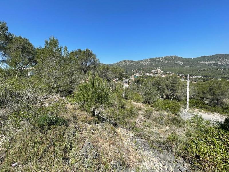 Foto a2ddb803-4250-4c18-a20f-62e299b5625a. Terreno residencial terreno urbanizable en Canyelles