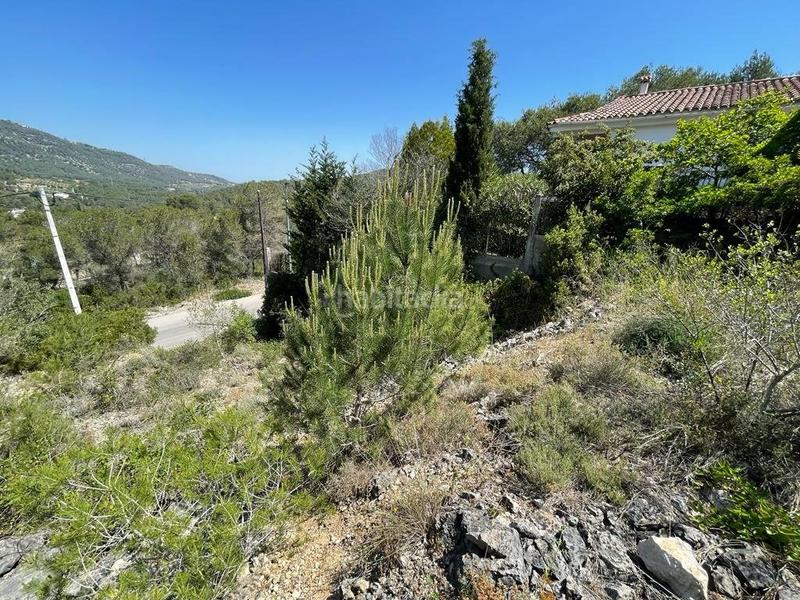 Foto c3305064-7542-46ba-9326-ce1ee149c897. Terreno residencial terreno urbanizable en Canyelles