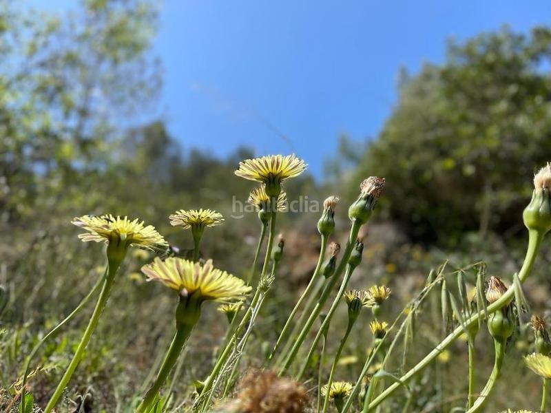 Foto f79e531a-e0fd-46a5-b191-14d892ca5227. Terreno residencial terreno urbanizable en Canyelles