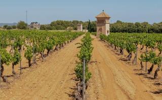 Residential Plot in Sant Jaume dels Domenys. Parcelas en suelo urbano para edificar proximamente!
