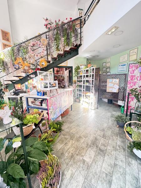 Foto 60cf9abe-610f-45a1-a10d-42d98ec3aea5. Affitto locale commerciale in calle josé cueto 48 in Avilés