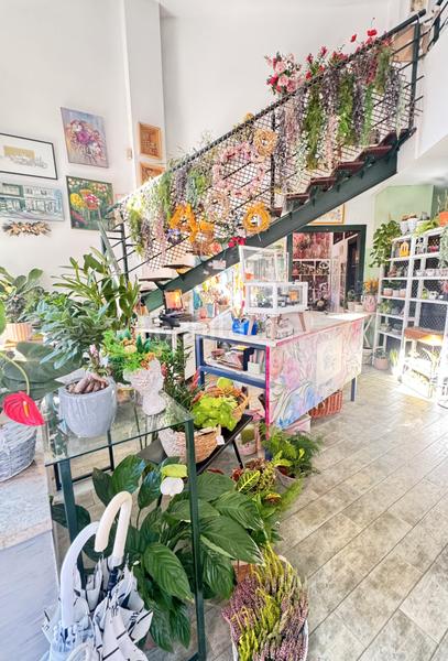 Foto 935ca32d-431c-4a0e-99c0-ee03a5d7c47a. Lloguer local comercial a calle josé cueto 48 a Centro Avilés