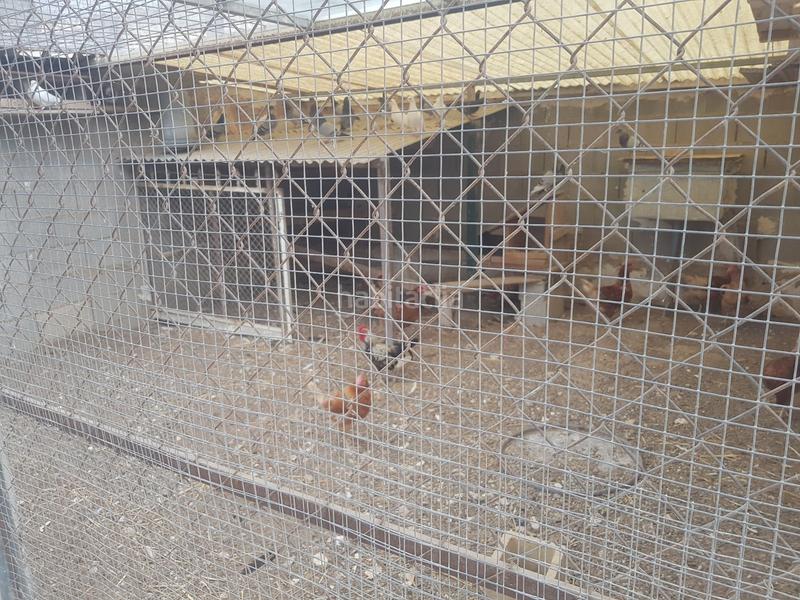 Foto 0eab4634-6034-485c-bce9-4aed744f97c1. Terrain résidentiel dans El Secanet-Hacienda del Sol Vila Joiosa (la)