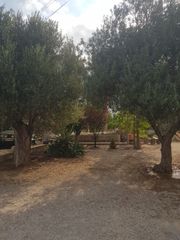 Residential Plot in El Secanet-Hacienda del Sol. Se vende
