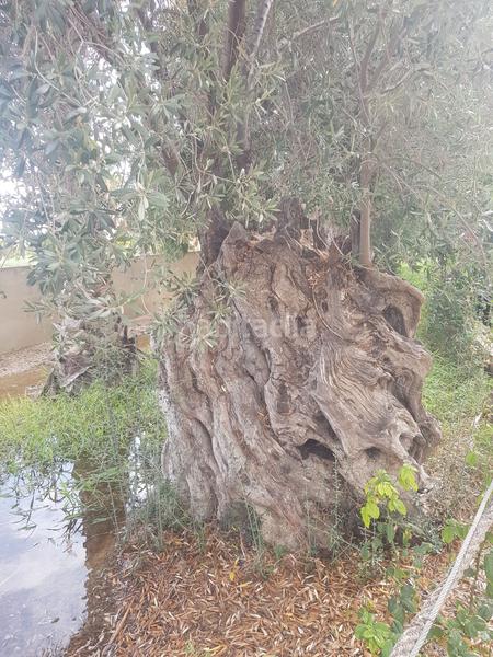 Foto 9180896e-28c5-4958-b596-7ade5819f5b2. Terrain résidentiel dans El Secanet-Hacienda del Sol Vila Joiosa (la)