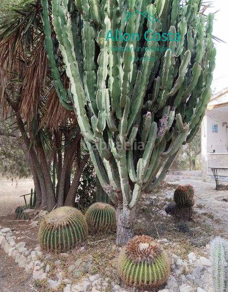 Foto 9ed1d615-f098-4bb0-a106-8e2434a9b59f. Mas dans El Secanet-Hacienda del Sol Vila Joiosa (la)