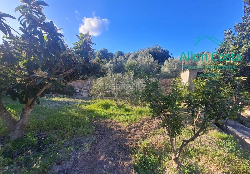 Foto e91ea556-2398-4aab-a163-a39829ba81ca. Casale in Orxeta