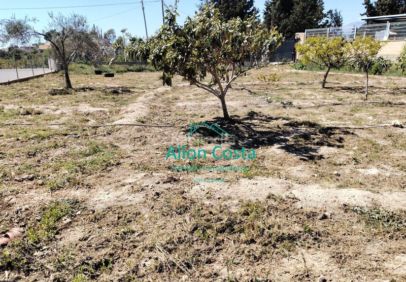 Foto 1fe76e85-fe99-4782-b7a8-0a03f1c0c1c9. Casa amb piscina a El Secanet-Hacienda del Sol Vila Joiosa (la)