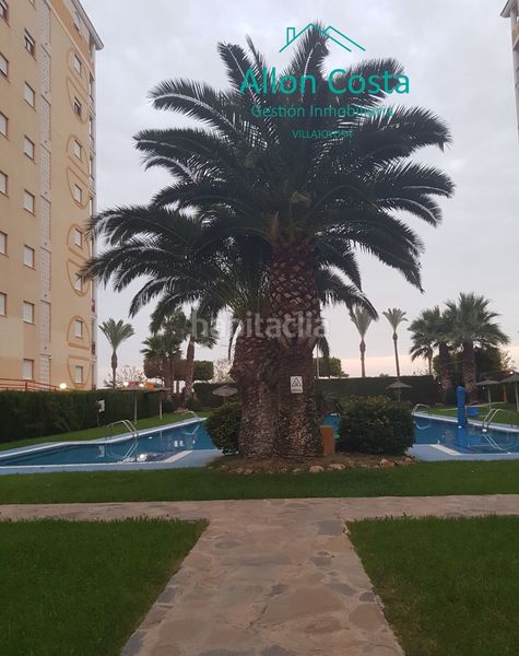 Foto 6d8f9b17-87ec-4c97-b0e6-5fe8cedb26d2. Pis amb piscina a Platja de Torres Vila Joiosa (la)