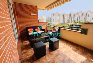 Lloguer Apartament a Alitana-Casablanca. Se alquila