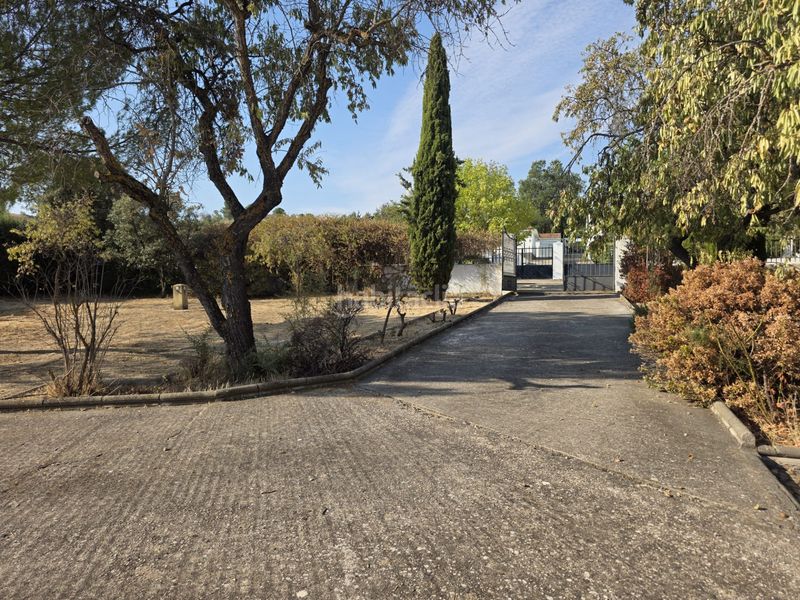 Foto 9baad541-2028-4eb8-857a-fa07ace5208e. Casa amb xemeneia calefacció aparcament piscina a Illana