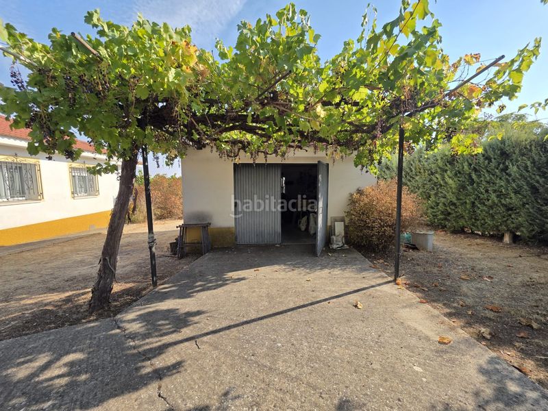 Foto c2c99cd1-475c-4c06-aa08-586949a9e839. Casa amb xemeneia calefacció aparcament piscina a Illana