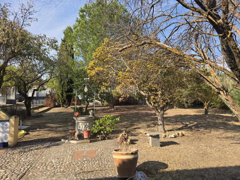 Foto c45554fe-0177-4a2e-9762-2ab150a66ae8. Casa amb xemeneia calefacció aparcament piscina a Illana