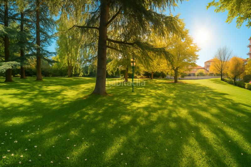 Foto 8c2fb44a-b77e-4d1e-98bd-f56aace4d430. Piso no cobramos honorarios a los compradores. en Madrid