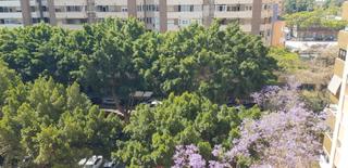 Lloguer Pis a Calle esperanto 7. Amplio piso de 4 dormitorios junto al corte inglés – ideal para