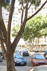 Alquiler Piso en Calle esperanto 7. Piso en alquiler en c/ esperanto málaga