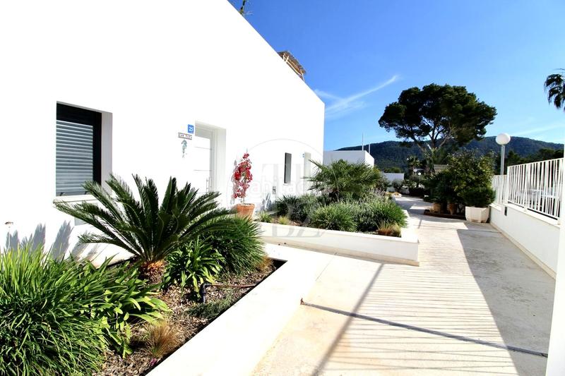 Foto b28258fe-ac4e-41d5-8c32-9cd2c10145f3. Estudi amb piscina a Cala Vedella-Cala Tarida Sant Josep de sa Talaia