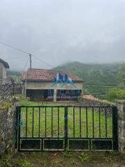 Mas  Tudanca. Oportunidad única en tudanca
