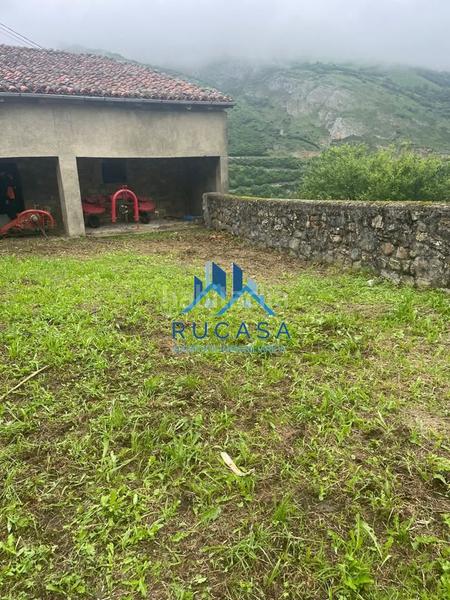 Foto e02f1680-081e-4fdd-a0f3-62ab3865631e. Mas dans Tudanca