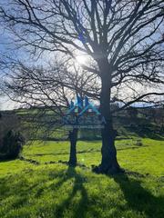 Residential Plot  Villanueva. Terreno urbanizable