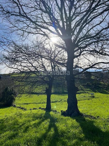 Foto df02c31e-fb67-4d67-a7e8-985b3ba5c8a4. Wohngrundstück in Campoo de Enmedio