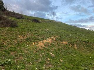 Residential Plot  Casar de periedo. Venta terreno casar de periedocantabria