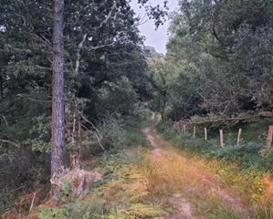 Residential Plot  Riotuerto. Venta terreno en monte