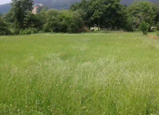 Terreno residenziale  Barrio villaparte. Venta terreno en rasines  cantabria