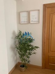 Miete Etagenwohnung  Barrio pronillo. Piso alquiler temporada escolar en santander