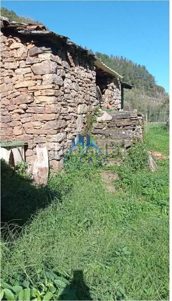 Foto 01d51b94-a999-4bb9-9986-bca0706989ff. Masia a Luena