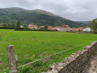 Mas à Cabuérniga