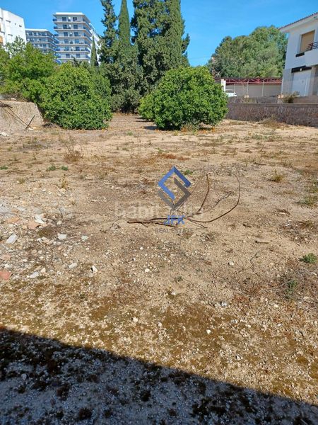 Foto 4869a2a6-b3e2-41ad-ba68-78733e5a46a3. Terreny residencial a Ampolla (L´)