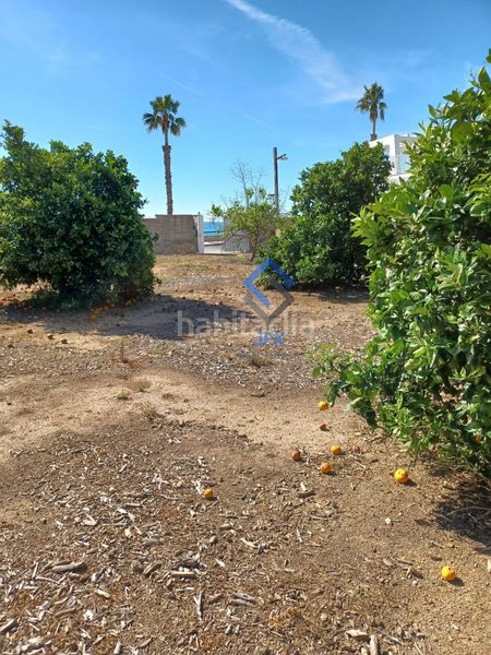 Foto dba7f4ca-26e2-40c3-bd49-e4201bea8e23. Terreny residencial a Ampolla (L´)