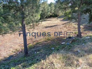 Terreny residencial a Riudarenes. Más de 15 parcelas a partir de 800 m2 y desde 20.000 euros a la
