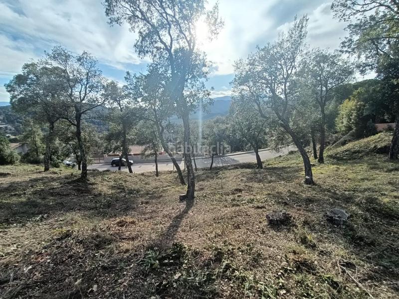 Foto 79e2564e-9170-44f2-854d-51afadcafbfe. Residential plot in Riudarenes