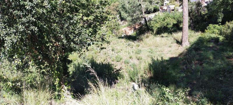 Foto 5f6b4990-18d2-4479-82c6-d221a01540ec. Residential plot in Riudarenes