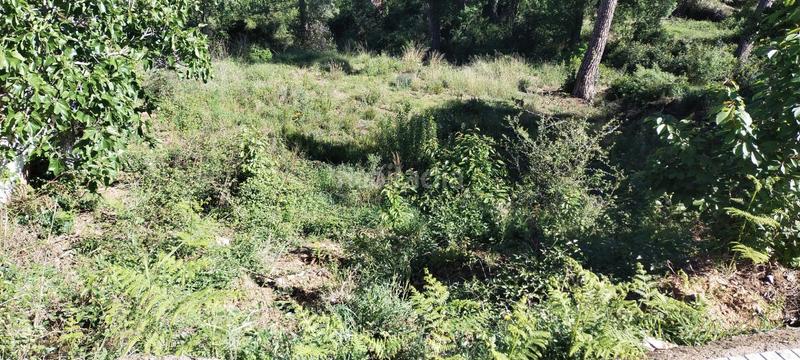 Foto 765a5ea5-6c5b-48f0-b6dc-c21820576dbe. Residential plot in Riudarenes